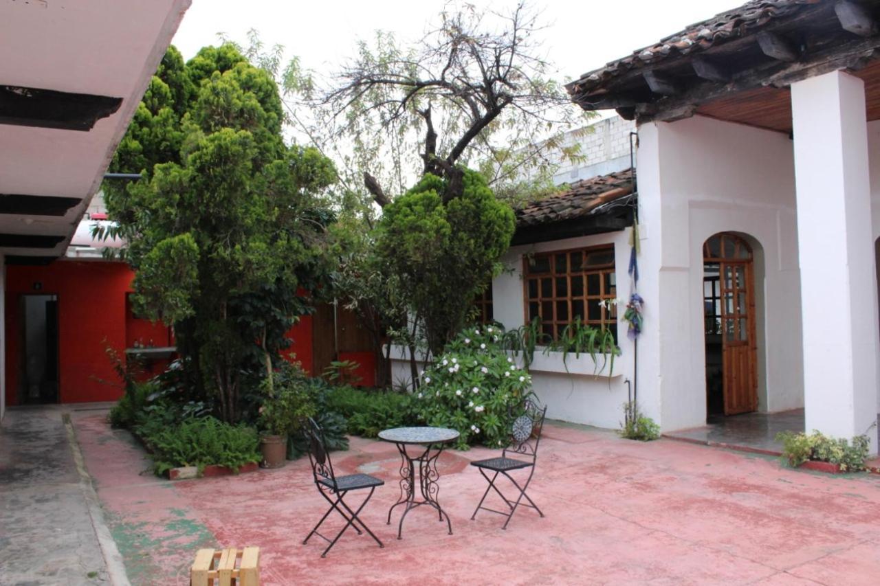 San Cristóbal de Las Casas Fandangoホステル エクステリア 写真