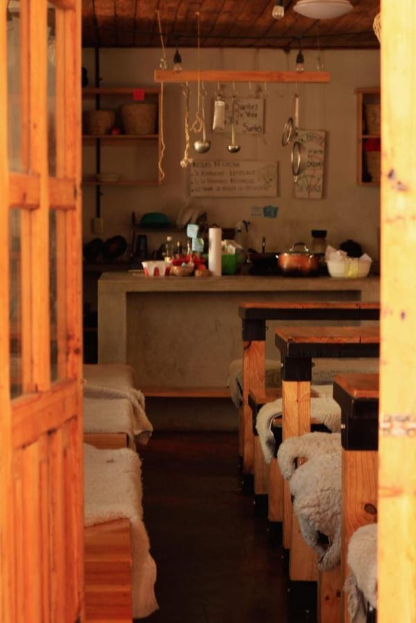 San Cristóbal de Las Casas Fandangoホステル エクステリア 写真