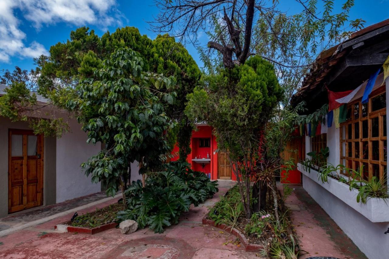 San Cristóbal de Las Casas Fandangoホステル エクステリア 写真
